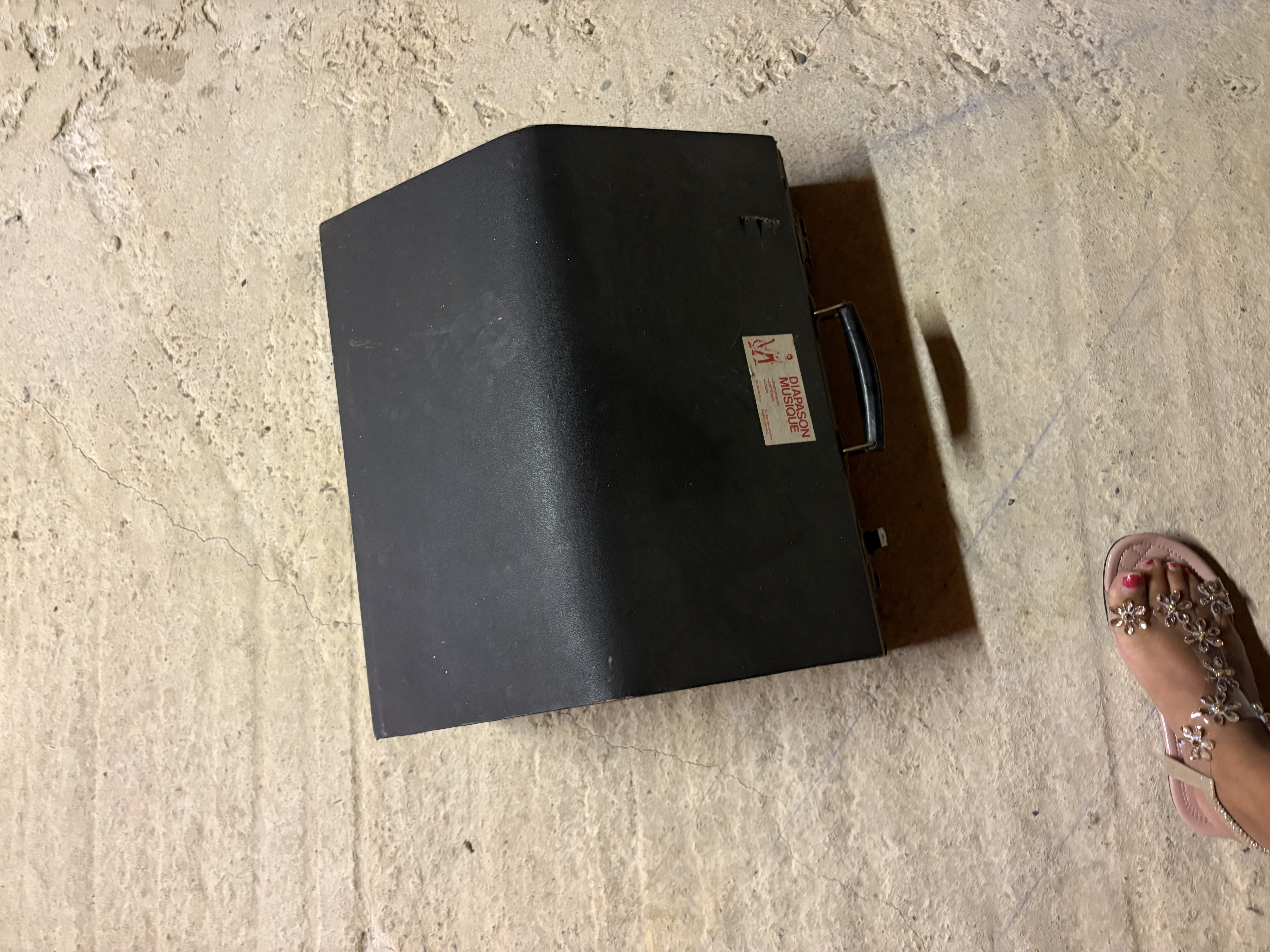 Accord�on 800 Montgaillard (65)