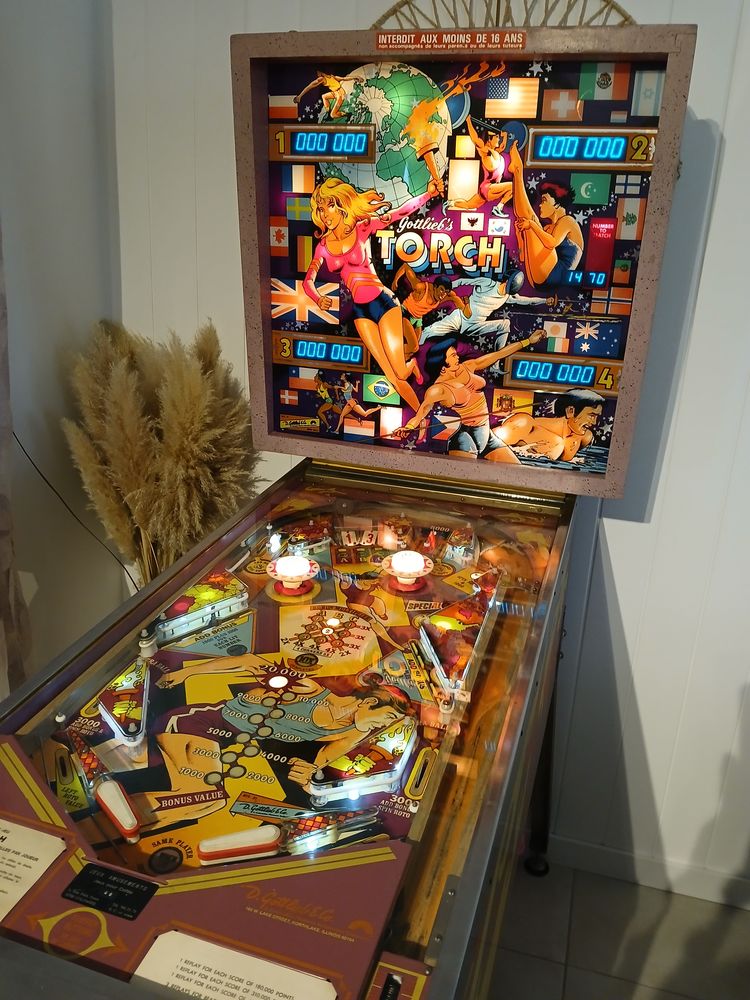 Achat cash en esp�ces  flipper en panne ou a restaurer 50 Les Sables-d'Olonne (85)