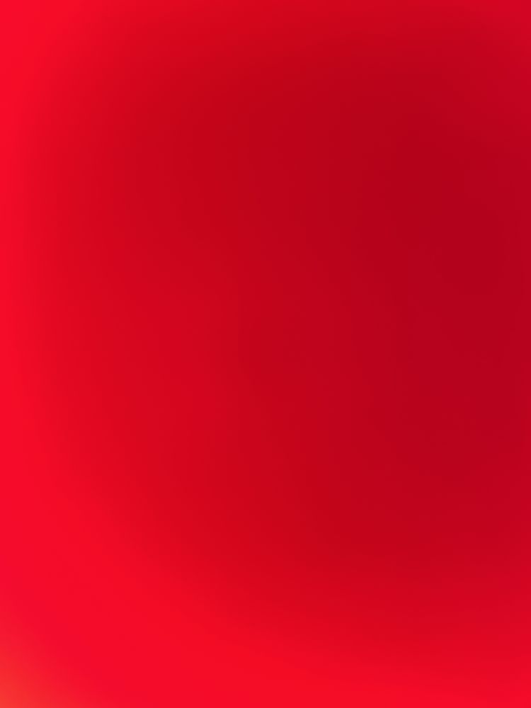 ACHAT DE VTT L OU XL LILLE 250 Lille (59)