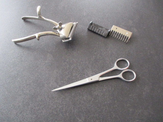 Acienne tondeuse 50 Castres (81)