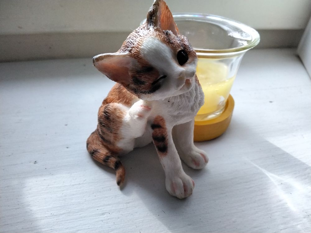 Adorable petit bougeoir 5 Rochefort (17)