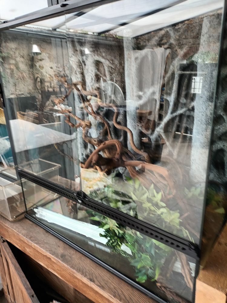 Affaire � saisir terrarium tr�s peu servi 400 Bussy-Saint-Georges (77)