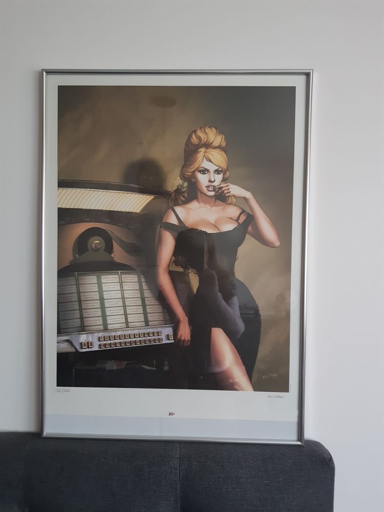 Affiche de Beltran de Brigitte Bardot 50x66  le cadre chromé. Neufs 25 Chantilly (60)