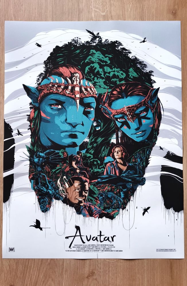 Affiche poster AVATAR 12 Millau (12)