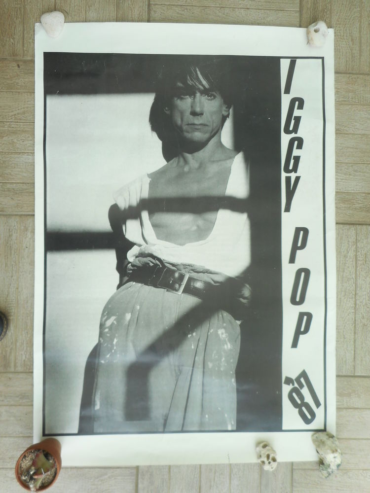 Affiche poster de Iggy Pop 15 Nieuil-l'Espoir (86)