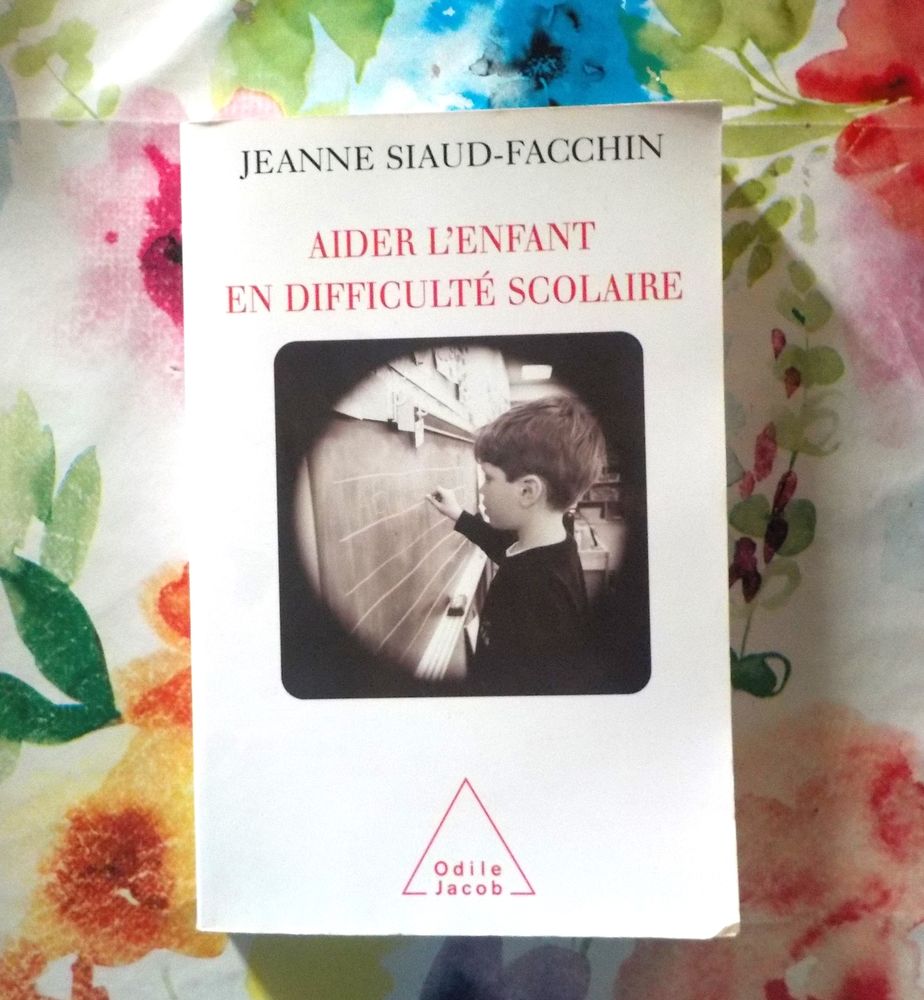 AIDER L'ENFANT EN DIFFICULTE SCOLAIRE par J. SIAUD-FACCHIN 4 Bubry (56)