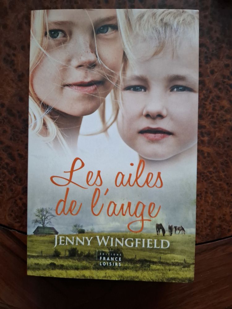 Les ailes de l'ange - Wingfield Jenny - 2010 - bon �tat 1 La Chapelle-Saint-Luc (10)