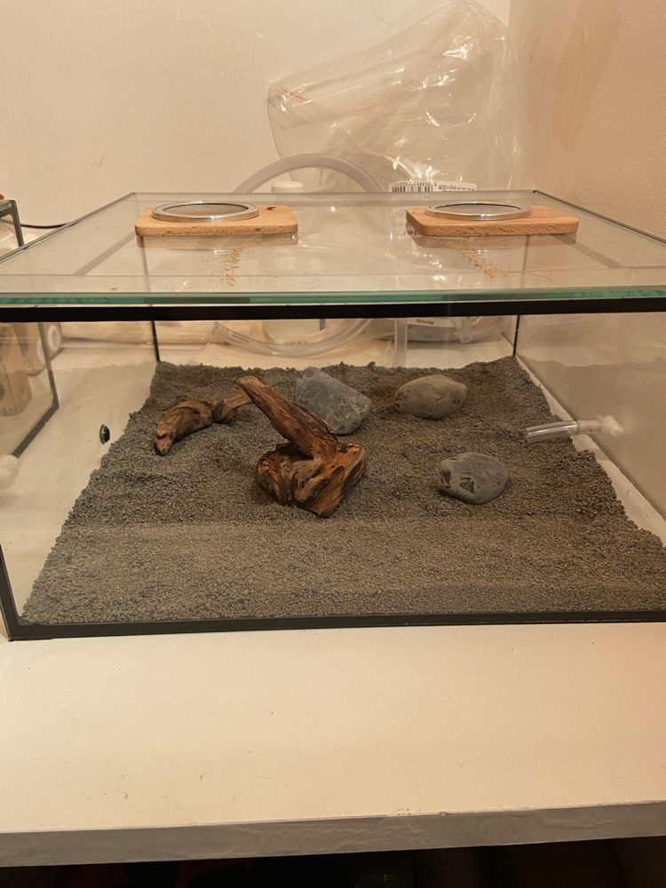 Aire de chasse pour Fourmis Foranto 150 V�lizy-Villacoublay (78)