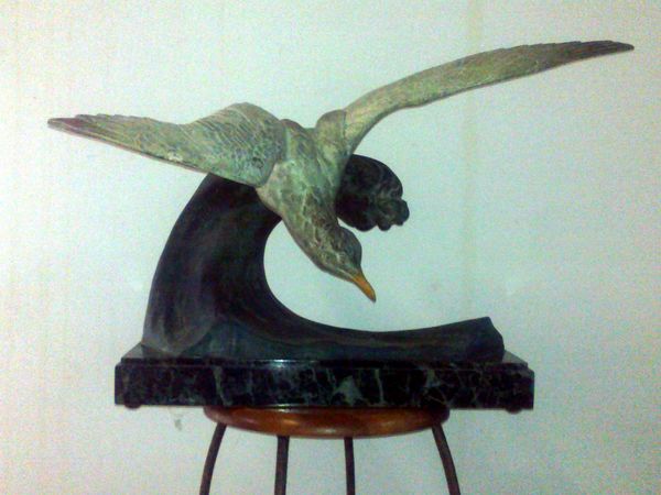 ALBATROS sur la vague 0 Le Tampon (97)