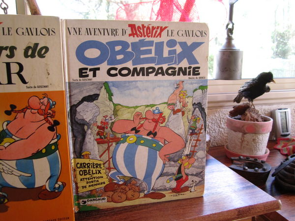 album ast�rix 0 Vidauban (83)