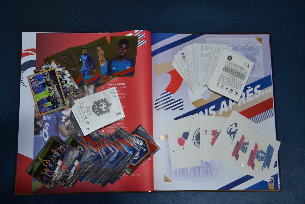 Équipe France Football 2010 25 cartes magnet joueur Album Carrefour sport N8686