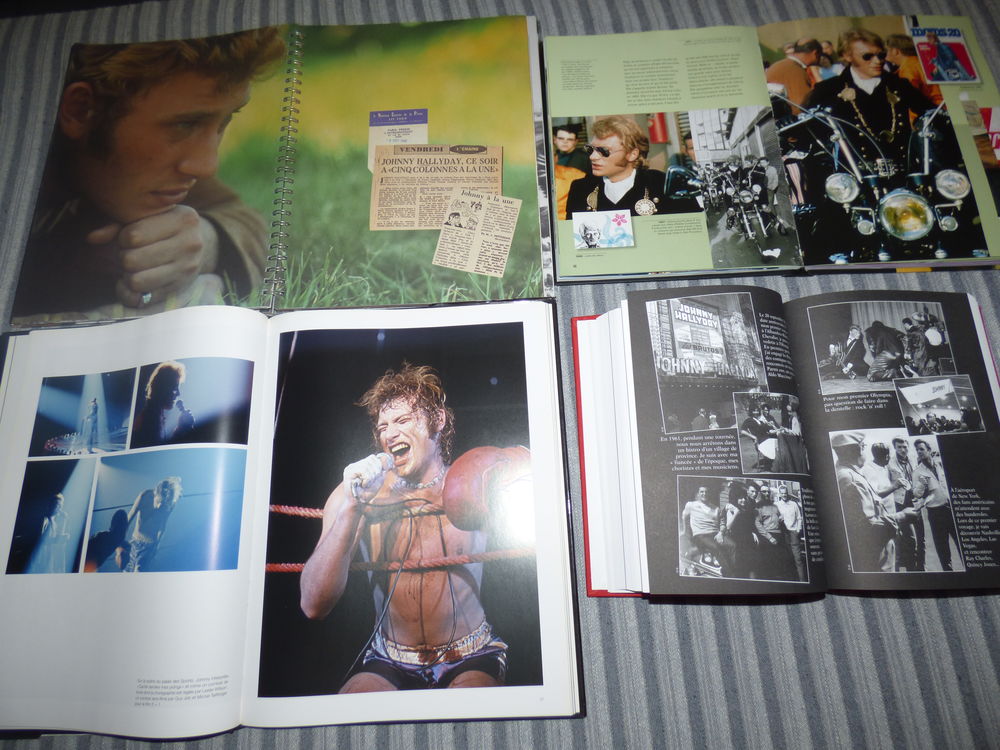 Album Photos Johnny Hallyday 80 Saint-Beno�t (97)