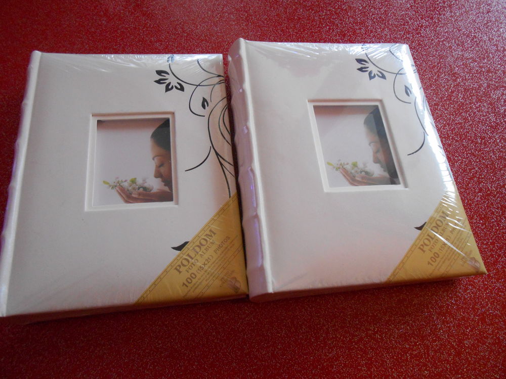 ALBUM PHOTOS 15 Chevigny-Saint-Sauveur (21)