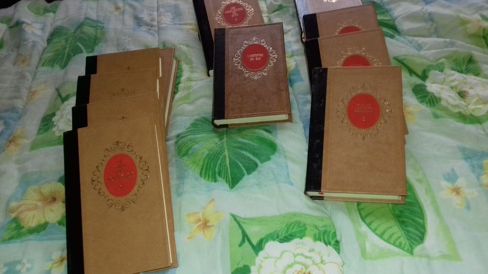 Alexandre Dumas 10 Lamonzie-Saint-Martin (24)