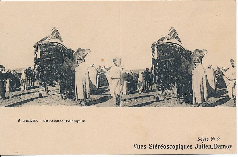 ALG�RIE BISKRA CPA ST�R�O JULIEN DAMOY Cartes Postales 1 Loches (37)
