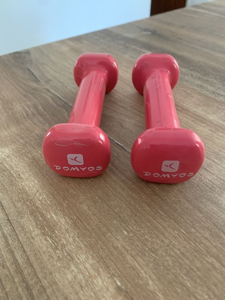 2 Alt�res de 0,5 kg chacune  D�cathlon      Domy 6 Saleilles (66)