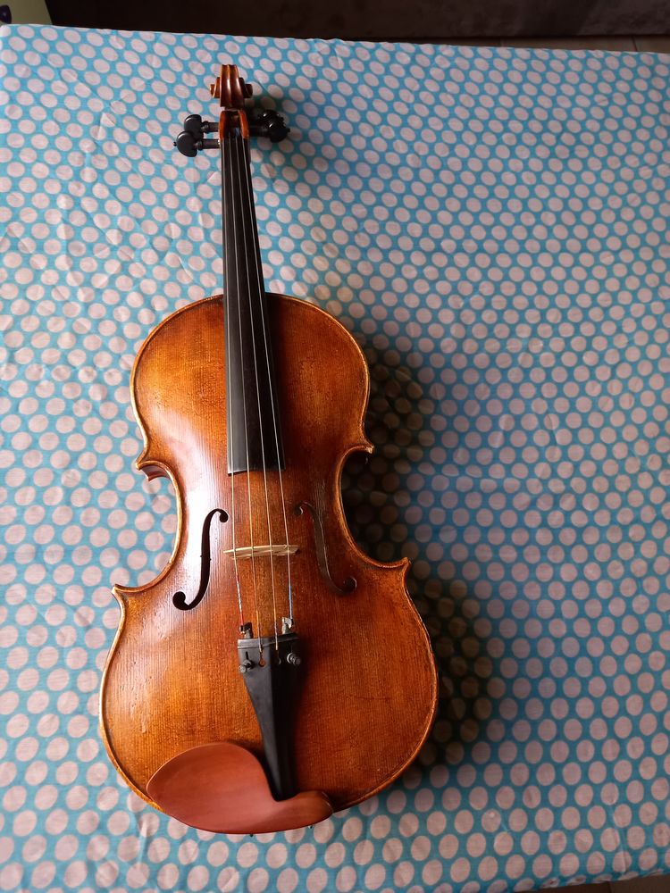 ALTO 40,5cm 5000 Saint-Germain-l�s-Arpajon (91)