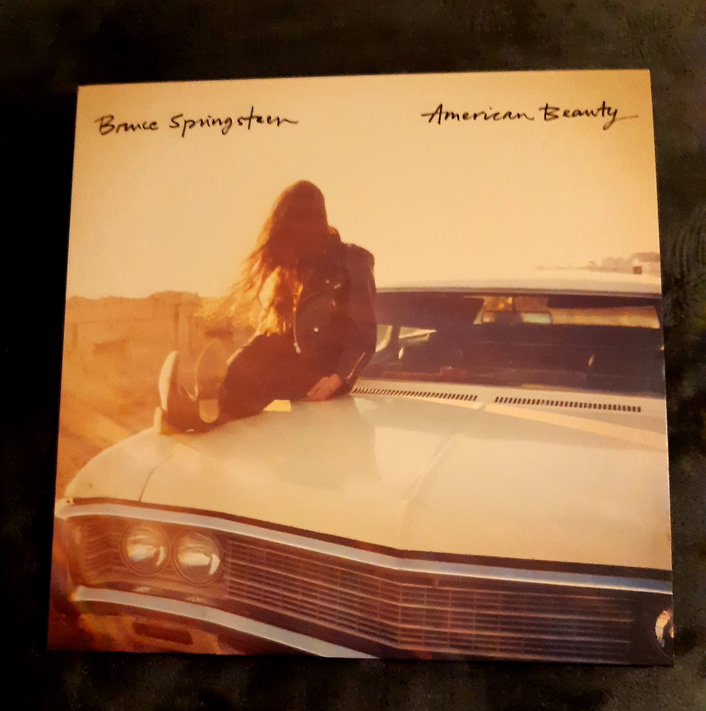 American Beauty de Bruce Springsteen 60 Pau (64)