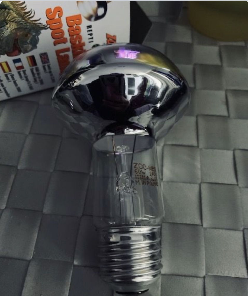 Ampoule terrarium 8 Maisons-Alfort (94)