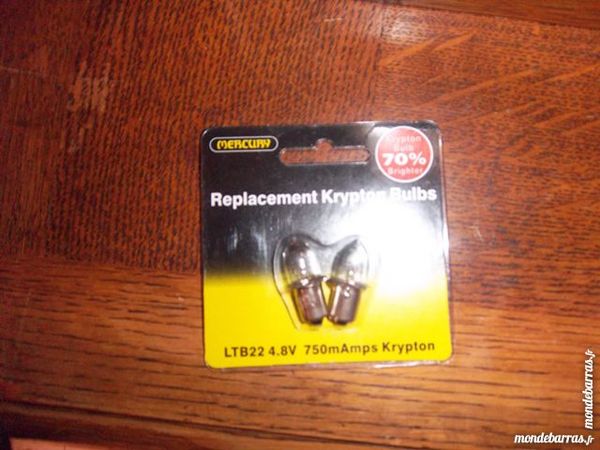 ampoules 1 Bossay-sur-Claise (37)