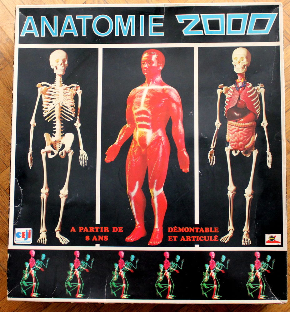 Anatomie 2000 - Coffret d'apprentissage �ducatif - C�ji 150 Issy-les-Moulineaux (92)