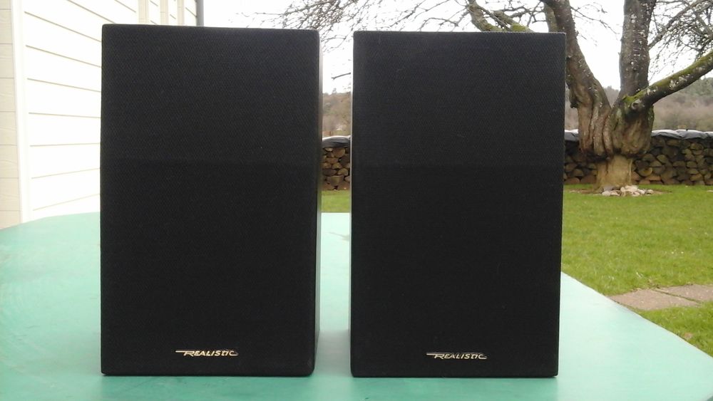 2 Anceintes de marque R�ALISTIC 10 Perrou (61)