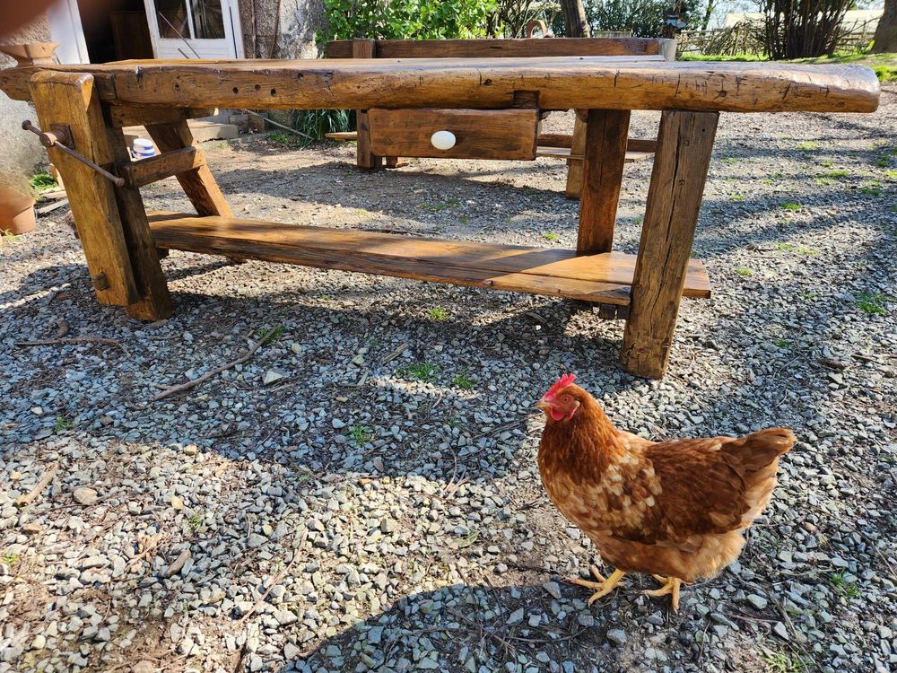 Ancien �tabli de Menuisier 350 Saint-Paul-en-G�tine (79)