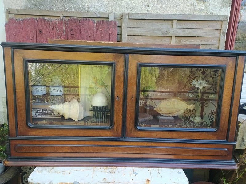 Ancien Meuble Vitrine Cabinet de Curiosit� Biblioth�que
0 Loches (37)