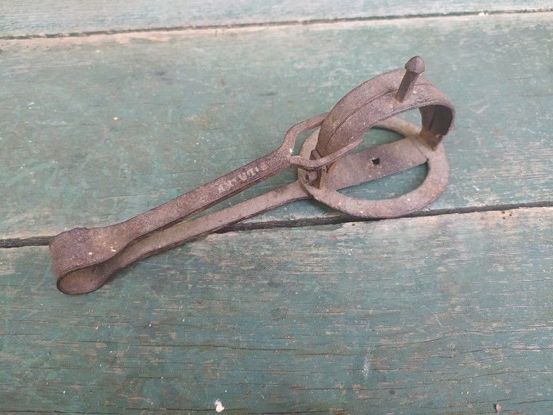 Ancien Petit Pi�ge Fer Forg� Marqu� en Creux 35 Loches (37)