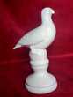 Ancien pigeon blanc artisanal en gré 65 Avermes (03)