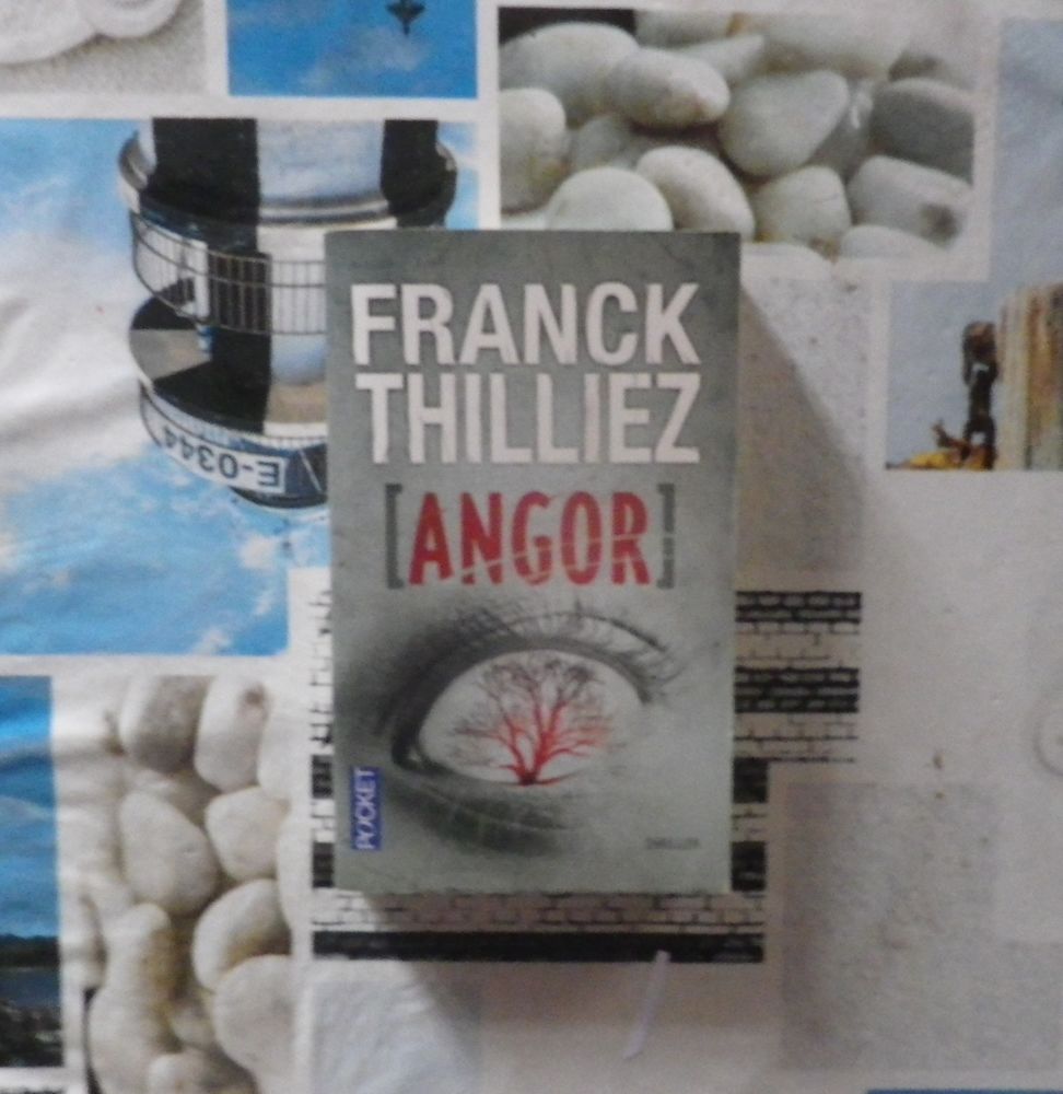 Franck Thilliez D Occasion Plus Que 4 à 60 Franck Thilliez D Occasion Plus Que 4 à 60