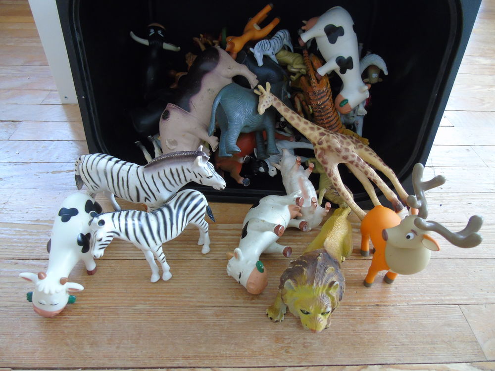 Animaux divers 15 Masevaux (68)