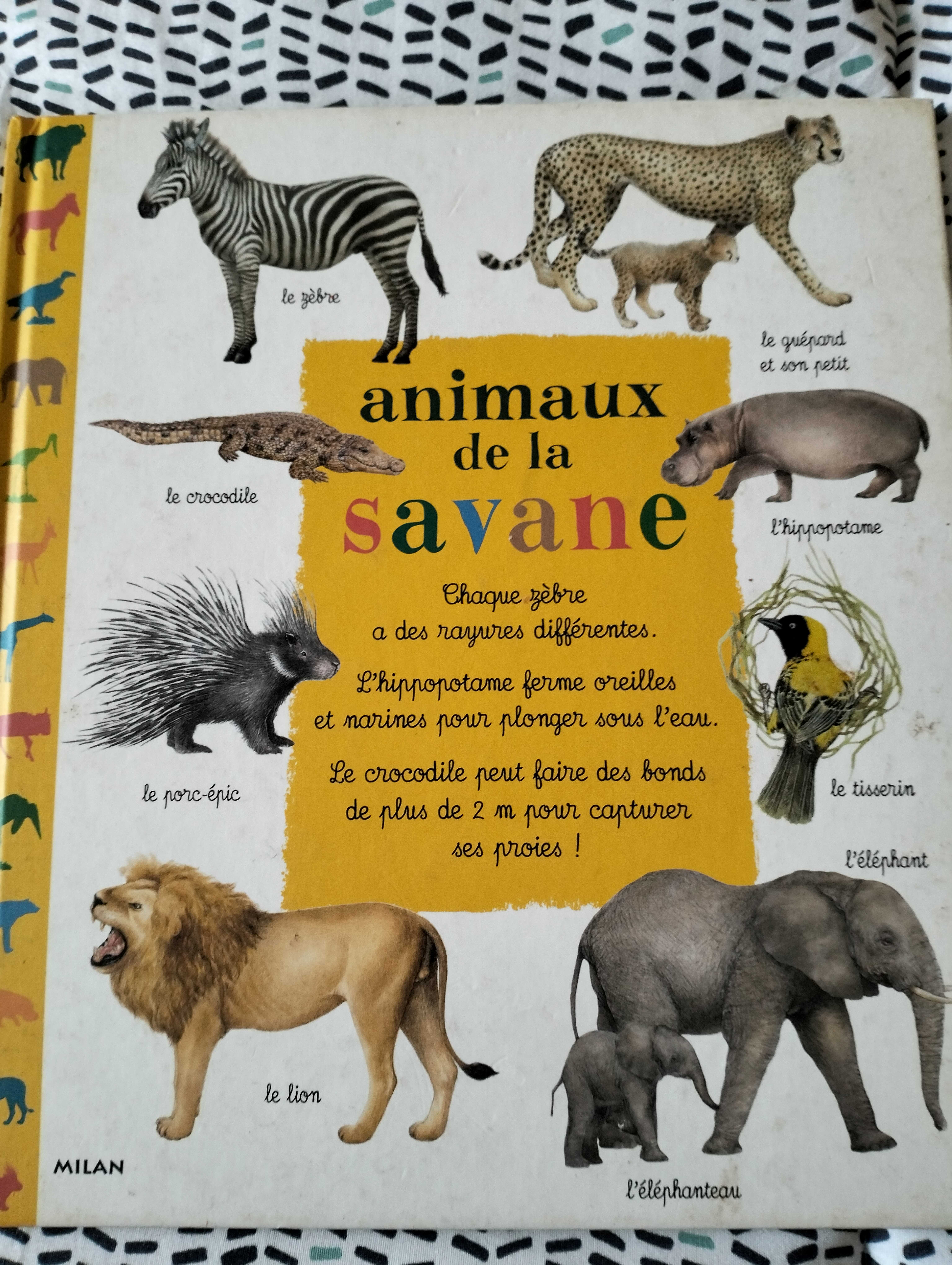 animaux de la savane 0 Roannes-Saint-Mary (15)