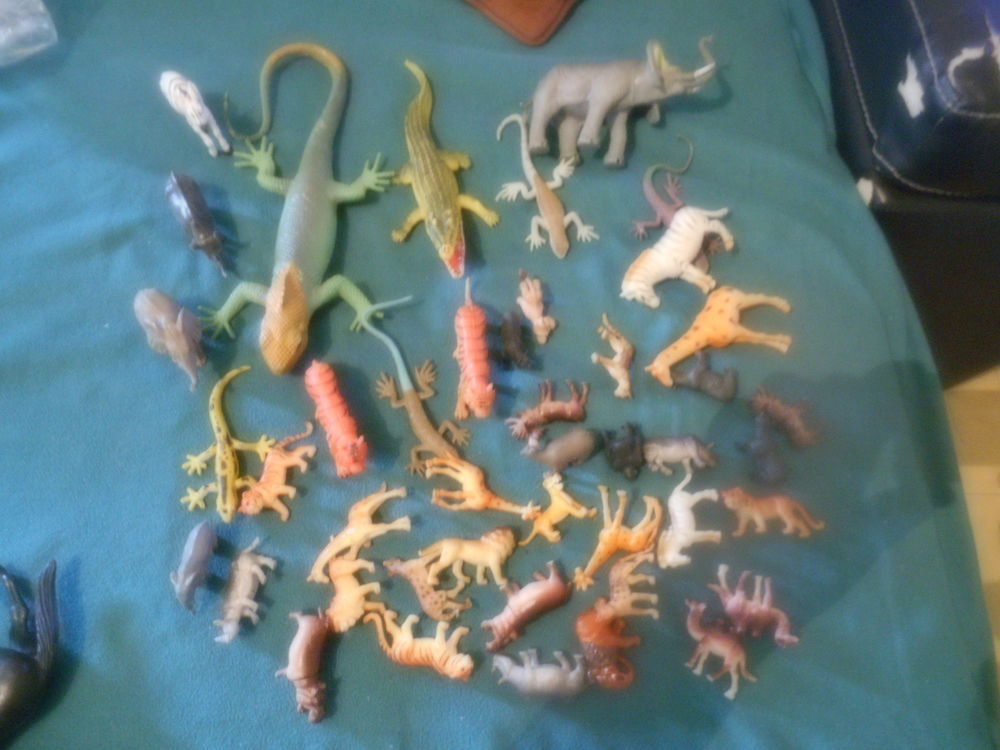 animaux du zoo 5 Villeurbanne (69)