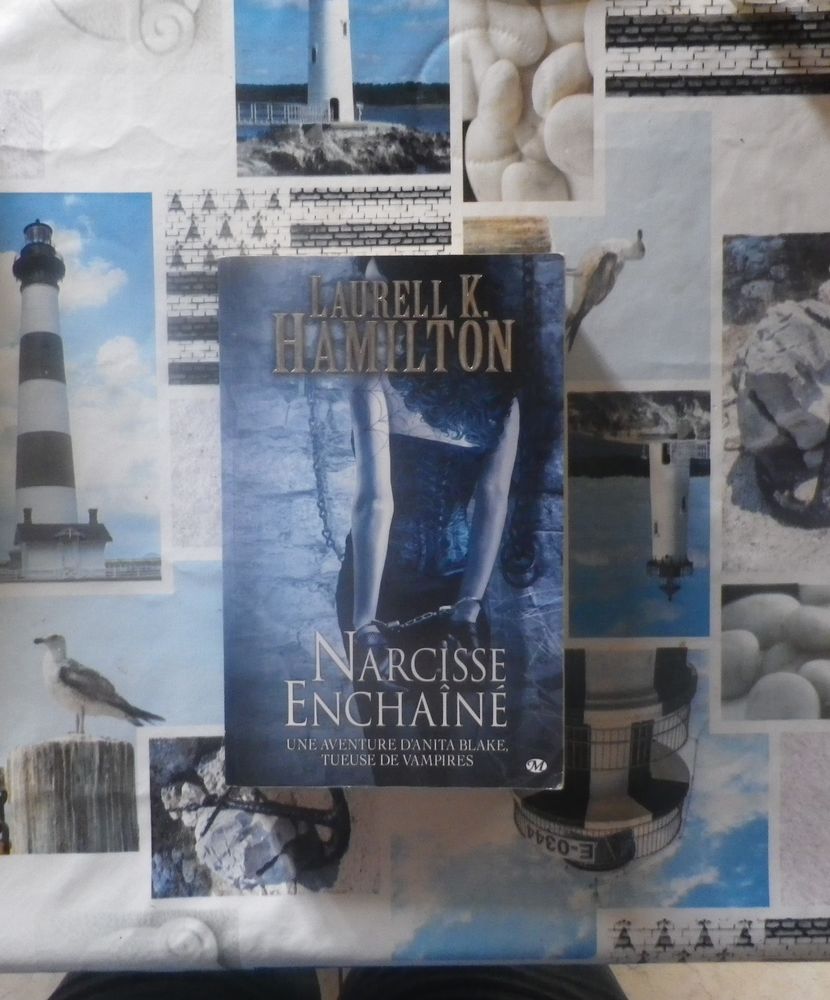 ANITA BLAKE T10 NARCISSE ENCHAINE de Laurell K. HAMILTON 3 Bubry (56)
