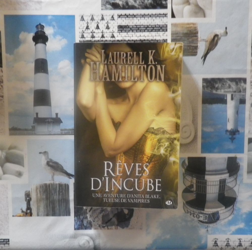 ANITA BLAKE T12 REVES D'INCUBE de Laurell K. HAMILTON 5 Bubry (56)