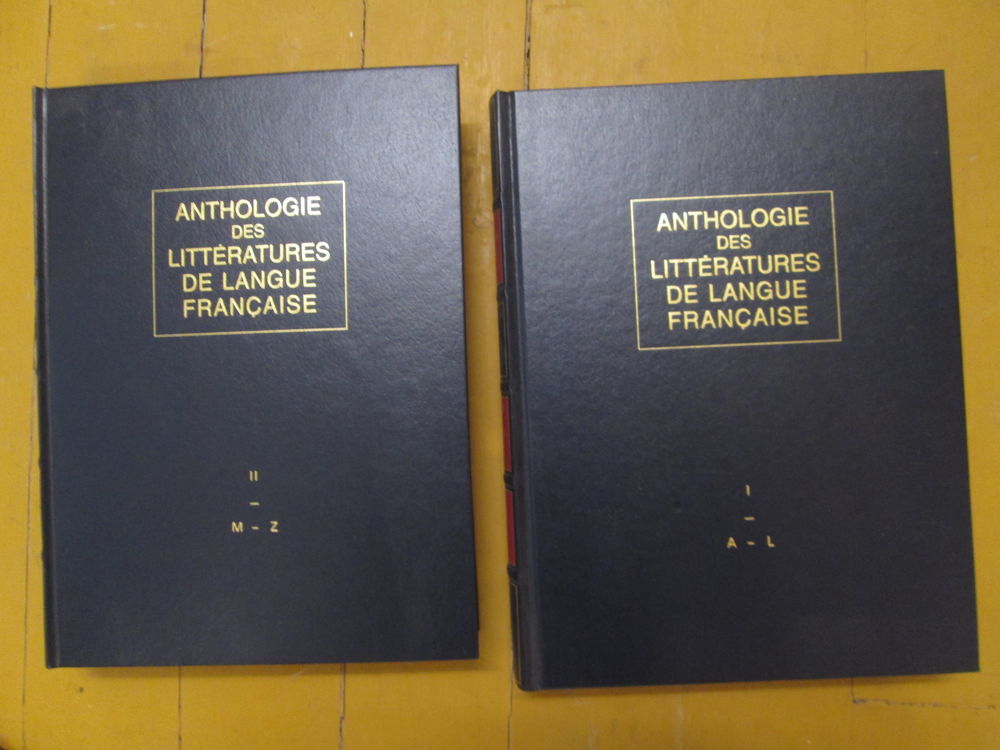 Anthologie des litt�ratures de langue fran�aise Bordas 10 Herblay (95)