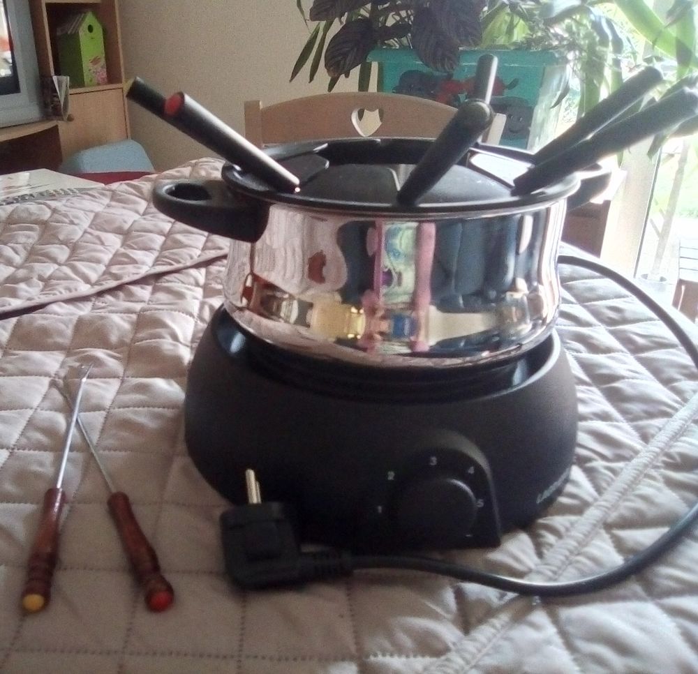 Appareil a fondue 20 Pl�rin (22)