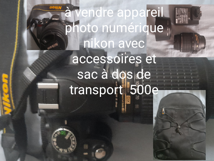 Appareil photo nikon 500 Saint-Aubin-des-Bois (28)