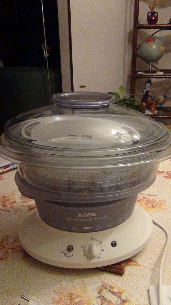 APPAREIL A VAPEUR 20 Montgeron (91)