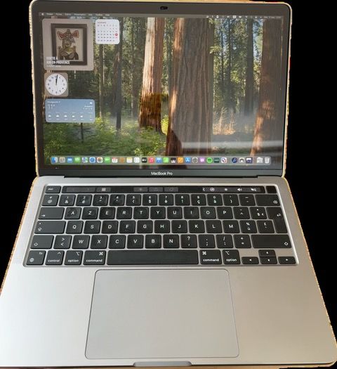 Apple MacBook Pro M1 8 Go 512 Go parfait �tat 890 Plougoulm (29)