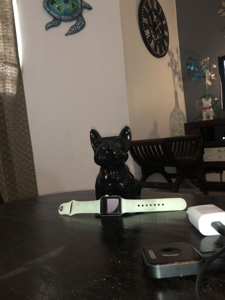 Apple Watch s�rie 3 200 Sch�lcher (97)