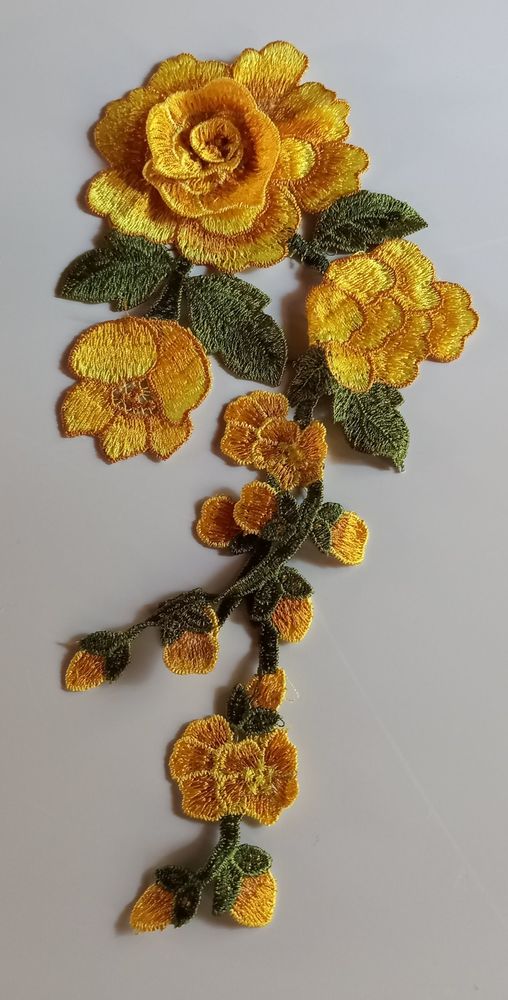 Applique dentelle 4 Escoussens (81)