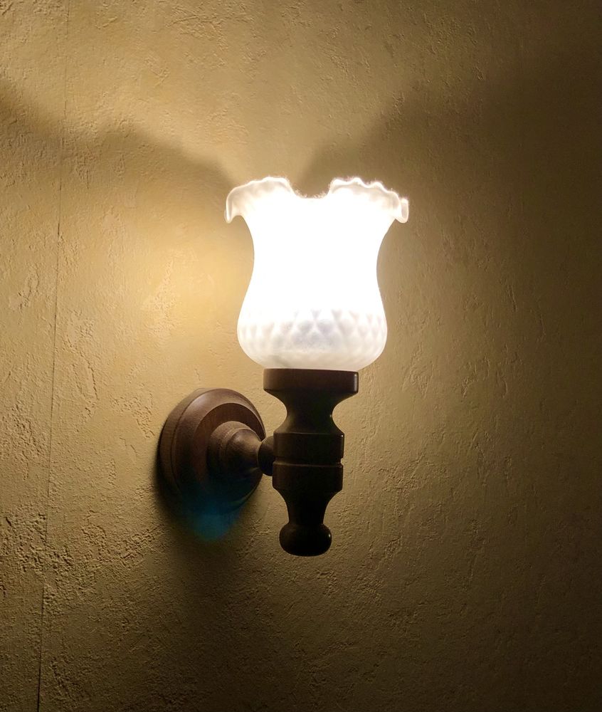 2 appliques tulip en verre d�poli 35 Paris 19 (75)