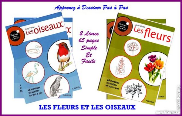 Apprendre A Dessiner Les Fleurs Et Les Oiseaux