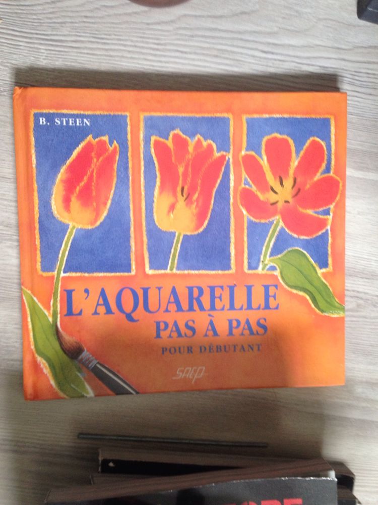 l'aquarelle pas-�-pas 5 Troyes (10)