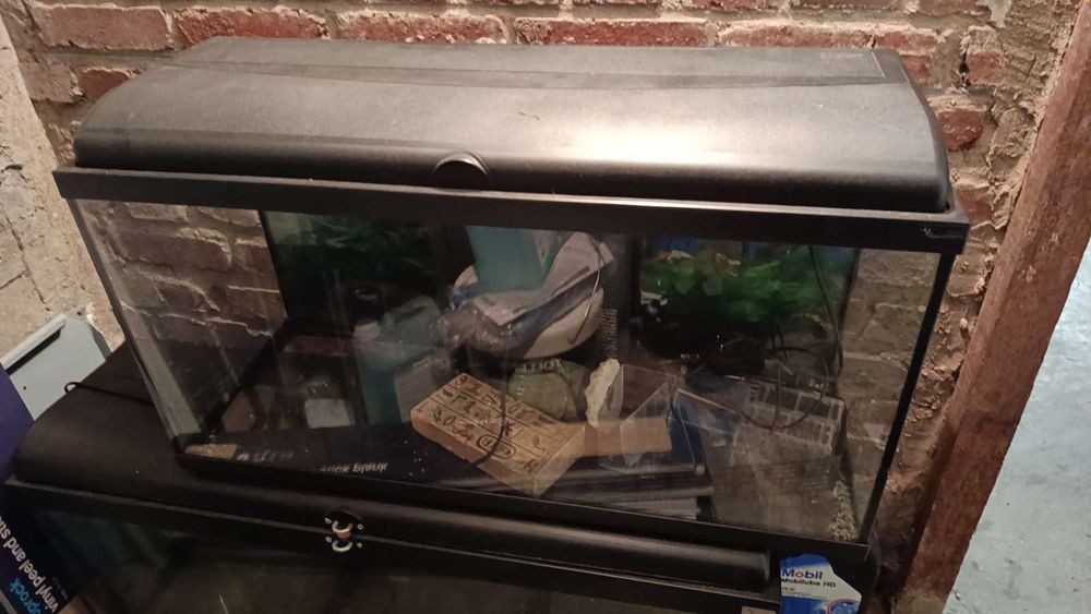 Aquarium 100L 60 Le Havre (76)