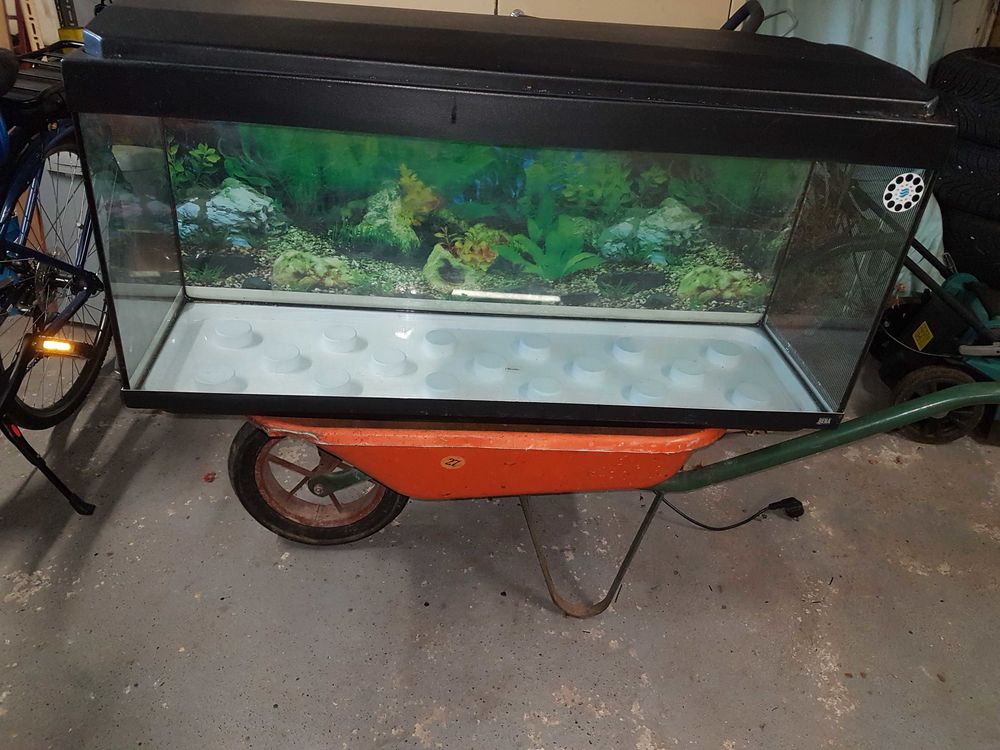 Aquarium+120litres+bon+�tat 60 Fresse-sur-Moselle (88)
