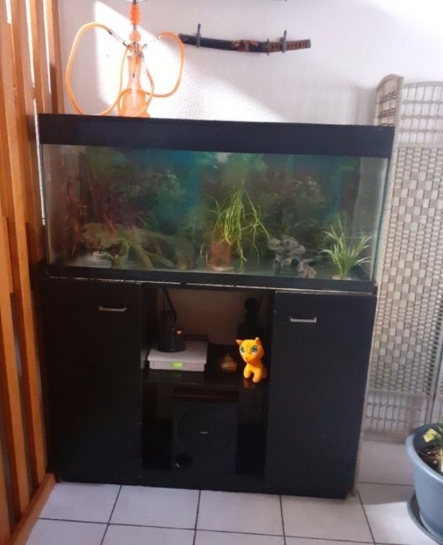 aquarium 200l meuble Meubles