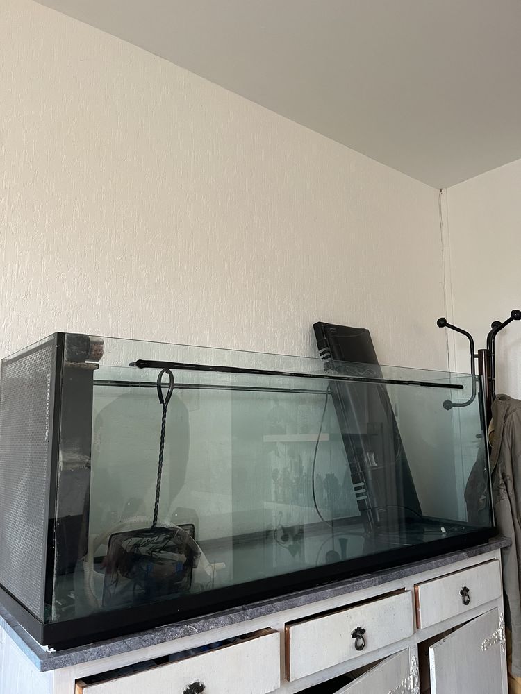 Aquarium 400L 50 Valence (26)
